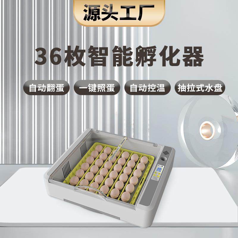 源头工厂36枚跨境外贸新品孵蛋器养殖孵化照蛋设备小鸡蛋孵化机,畜牧/养殖物资,特种养殖设备,淘宝优惠券,粉丝福利购,淘宝优惠卷