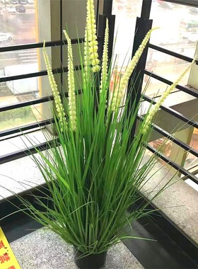 园艺盆栽 水生植物仿真花艺洋葱草大狗尾芦苇大稻谷装饰摆件