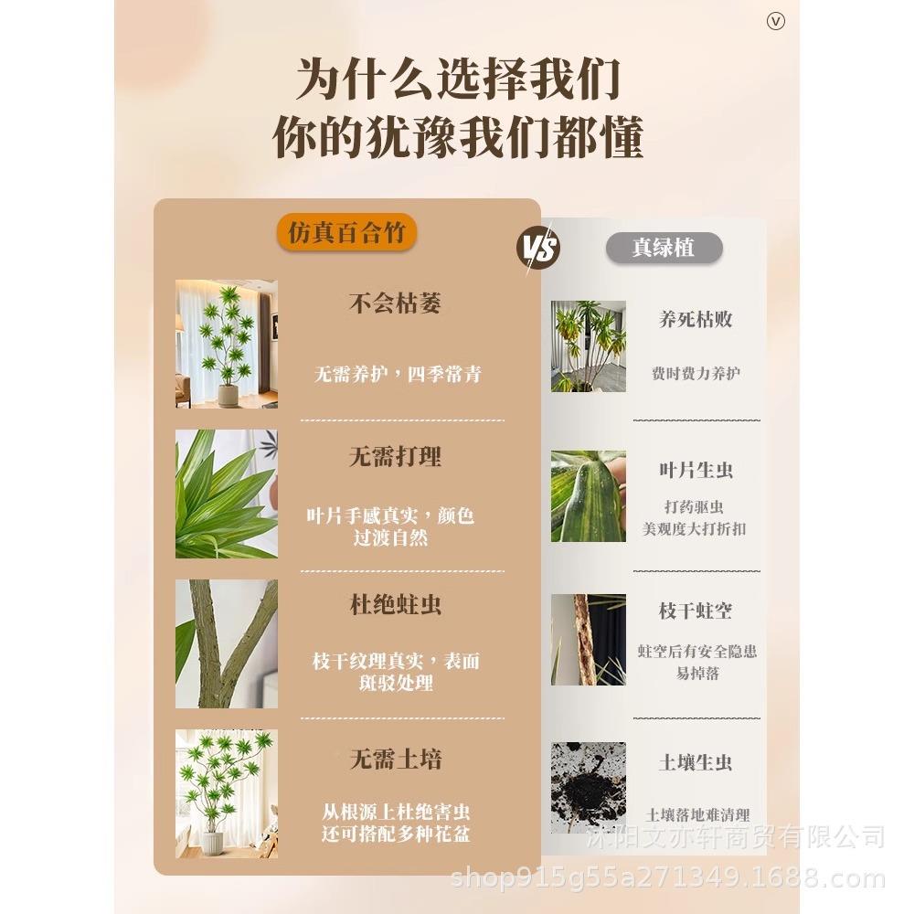 仿真绿植百合奢竹百合竹2-高假端大型仿生绿轻植禄氛围树室内客厅