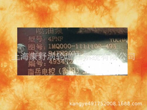 喷油泵1MQ000-1111100-493 B4PM907T3和B6A29C BHT6A95R029C 1696