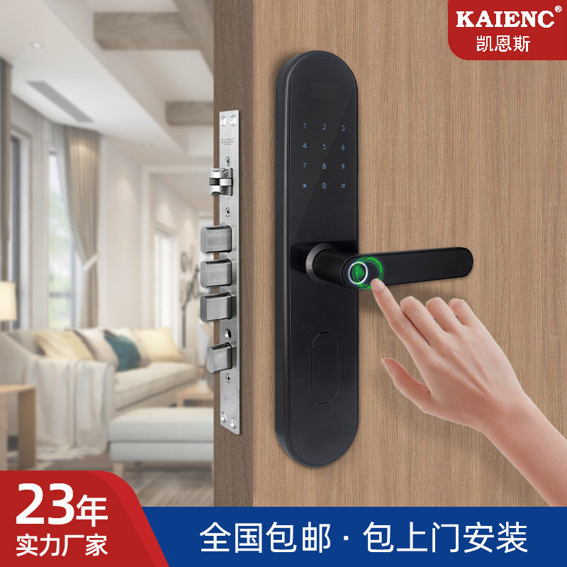 广东简约指纹密码防盗智能门锁