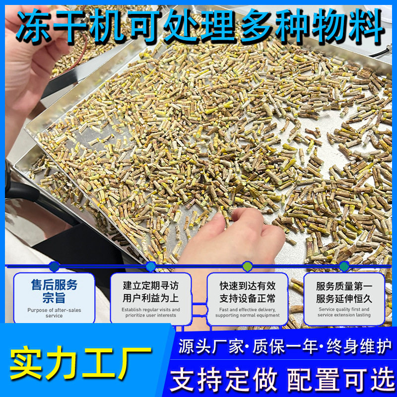 西红柿鸡蛋汤冲泡汤料冻干机 低温水饺混沌冻干机 粉剂冻干机设备