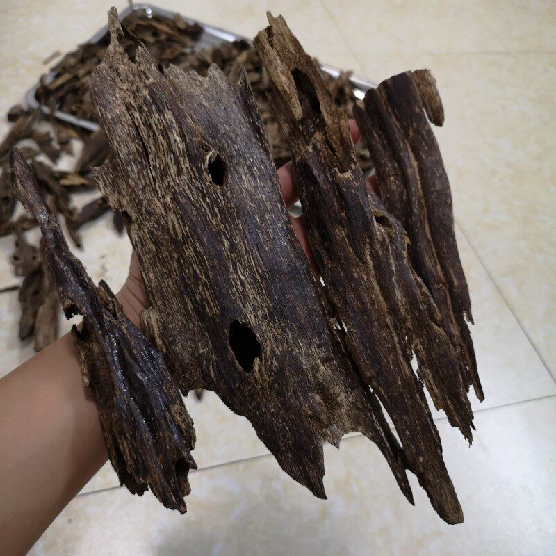 【海南变异黑油沉香虫漏】 黑油天然沉香虫漏眼 沉香蚁漏沉香香熏