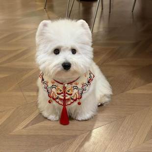 新年狗狗衣服围脖口水巾宠物小配饰猫咪围巾围兜喜庆过年装饰