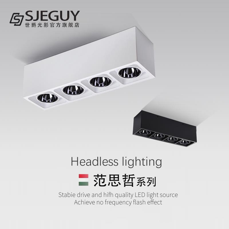 客厅无主灯led明装射灯家用长方形双头四头斗胆灯家用过道盒子灯