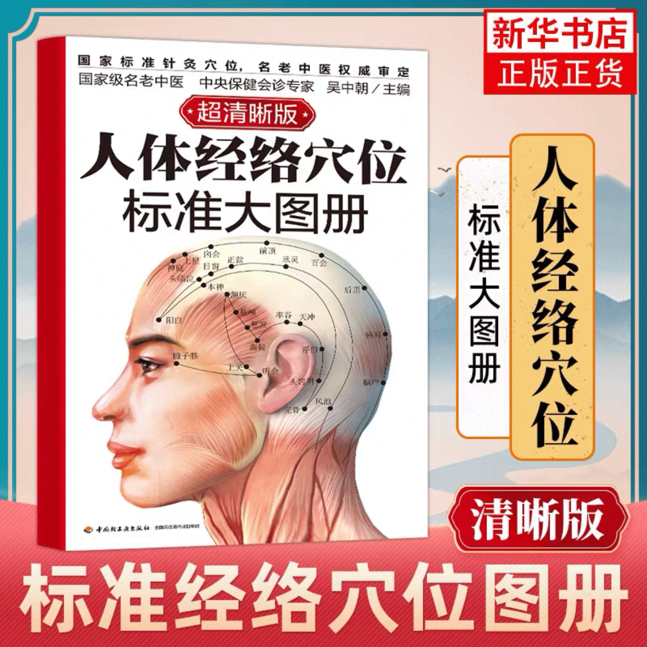 【官方正版】人体经络穴位标准大图册清晰图中医按摩经络穴位 经络穴位按摩大全养生大全人体经络穴位图解书人体穴位图解大全书籍