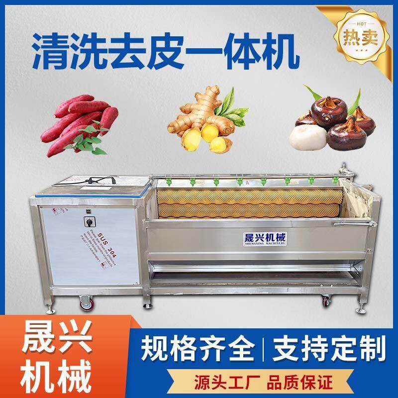 毛辊清洗去皮一体机红薯马蹄生姜清洗机海蛎子蛤蜊毛刷去泥清洗机