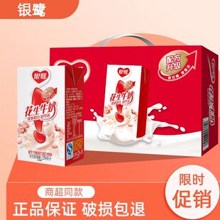 11月新货】银鹭花生牛奶250ml*20/24盒复合饮品蛋白营养饮料正品