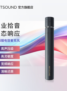ARTSUNND小振膜电容麦克风人声合唱乐器录音收音舞台演出拾音话筒