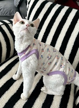 速发猫咪德文无毛猫斯芬斯克蓝猫长掉猫四脚衣保暖防毛毛紫色碎花