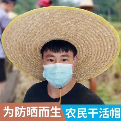 草帽男草帽盘农民下地干