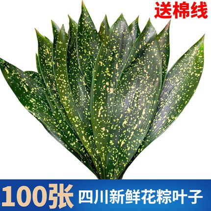 新鲜花粽叶小米花云南粽叶四川铜钱花粽叶现割现发大粽叶子一叶兰