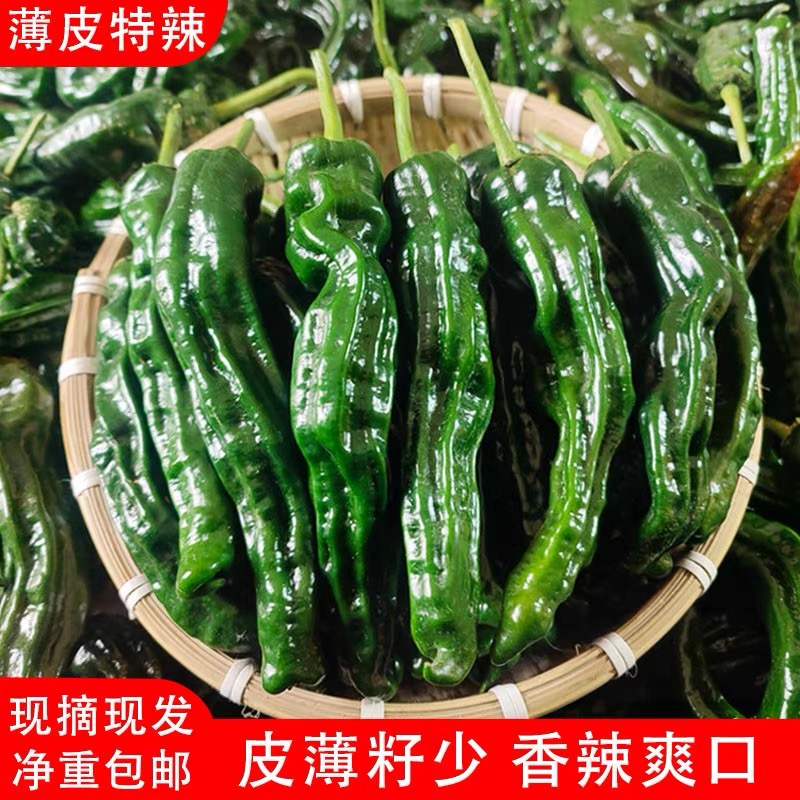 【特辣】能吃辣的可以放心拍