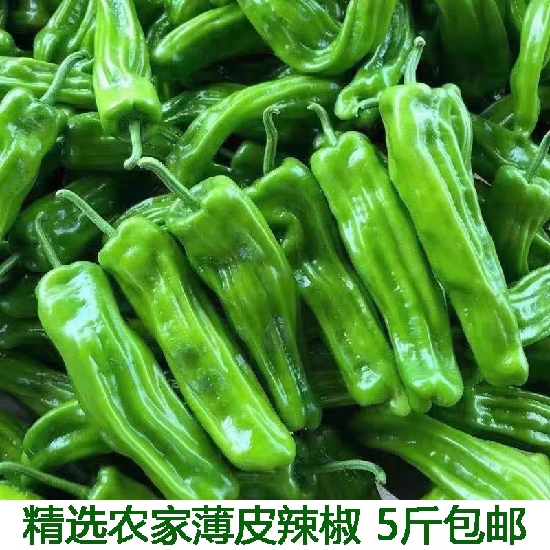 农家自种,顺丰包邮,现摘现发