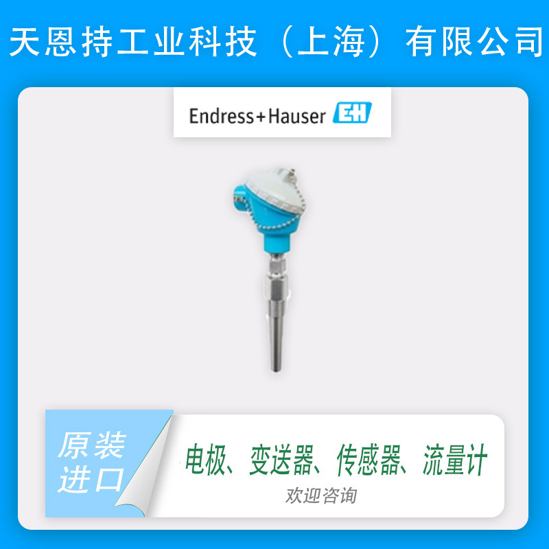 瑞士 E+H TM101-AACCA4GC1A1A1 工业温度计 全新原装