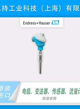 瑞士 E+H TM101-AACCA4GC1A1A1 工业温度计 全新原装