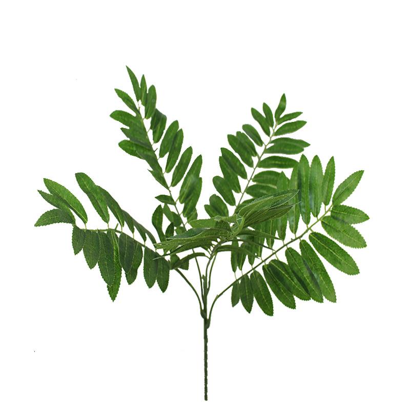 003  004真假灌树叶枫杨绿植物槐树木盆景摄影DY背景叶子杨槐仿花