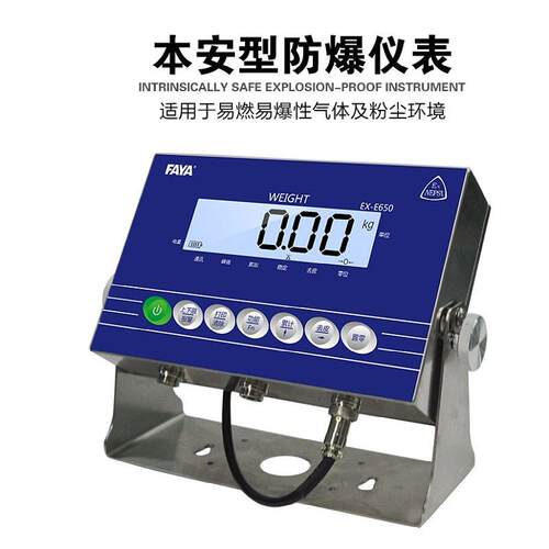 XEX-650本安防仪表电子台秤300公斤E型落地台秤磅工业称重爆化工