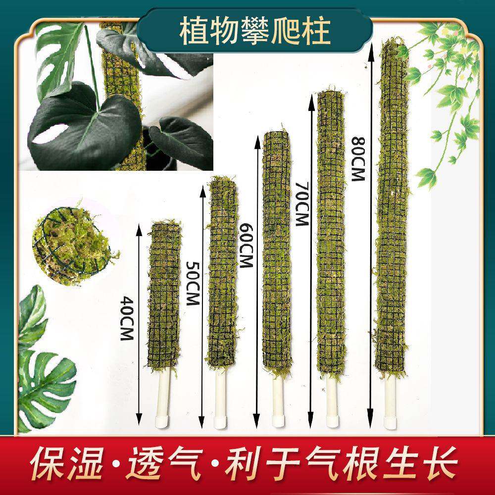 蝴蝶兰兰花专用栽培基质营养土支持定制包装 水苔青苔苔藓柱