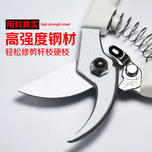 枝条修剪刀鲜花剪园艺园林盆景水果树粗枝专用修枝剪刀工具家用