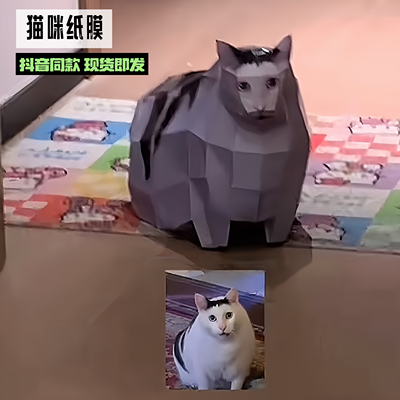 oiiao猫huh猫Maxwell猫疑惑猫旋转猫手工DIY纸模型折纸纸猫非成品