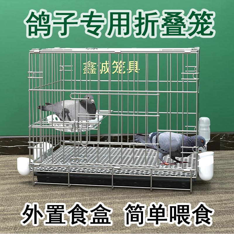 鸽子笼养鸽子专用笼养殖笼家用