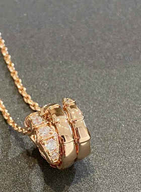 高版本轻奢蛇形项链女镀18k玫瑰金蛇头蛇骨满钻小众设计锁骨链