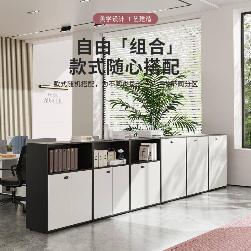 柜办公柜矮柜文件柜锁办公室两门隔暗非断带储物柜资料地柜柜收纳
