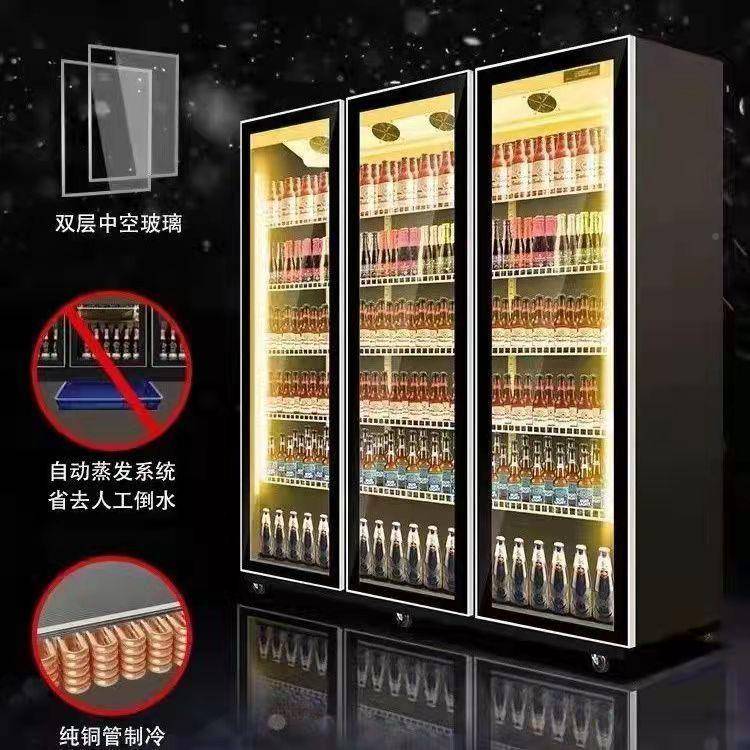冷展示立式网红柜柜饮WSZ料柜保鲜柜商用冰柜双门超市冰藏箱啤酒
