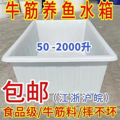大厚筋塑料水箱长方形周牛转箱水LFP产加养殖箱养号鱼牛筋箱推布
