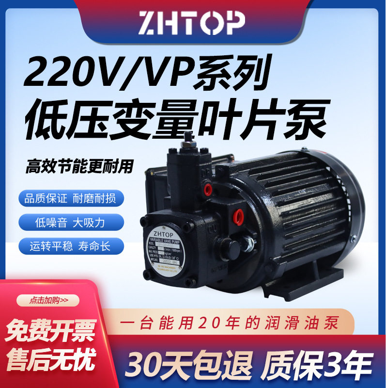 液压变量叶片泵高压220V电机