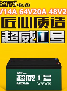 速发车铅酸64V14A21A48V28AH8-DZF20电动天电瓶车能蓄