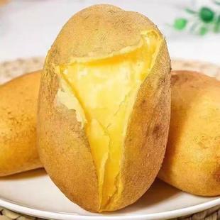 贵州土特产威宁土豆新鲜洋芋黄皮黄心高山米拉老品种马铃薯蔬菜