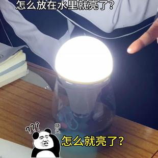 网红灯泡应急水神奇手触摸静电led遇水就亮停电沾水智能放水发电