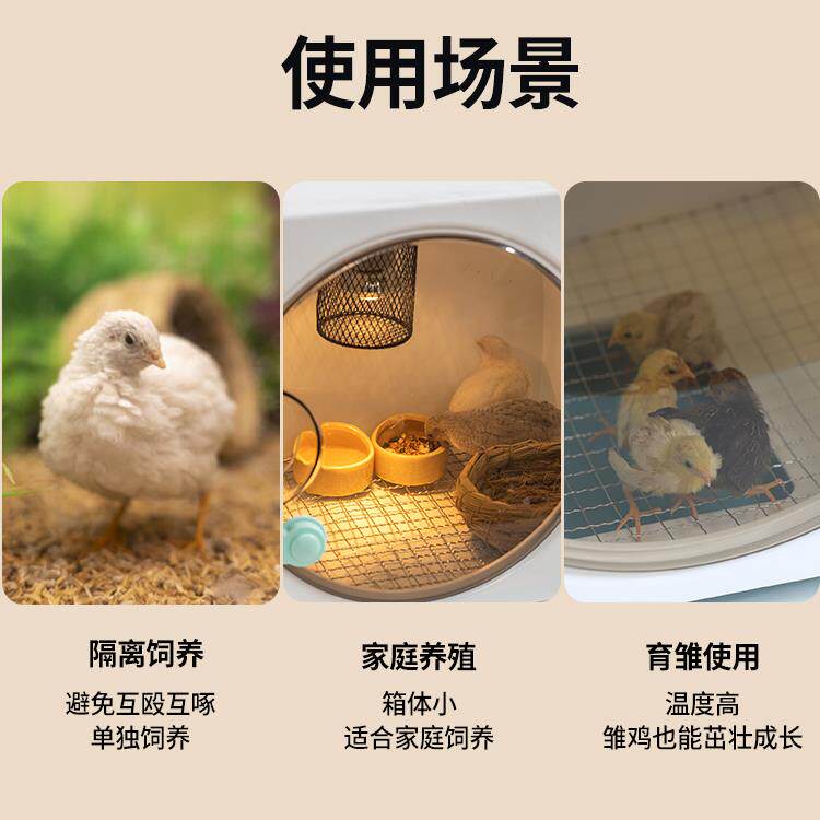 网红饲鸡育雏保温箱芦丁ltao1000鸡幼鸡养箱鸡恒箱保温暖箱养小鸡