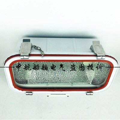 船用不锈钢投光灯TG69A/TG67A-C500/C1000照明探照灯TG70AN400W