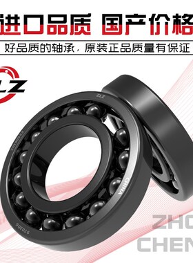 哈尔滨耐高温轴承 970219 970220 970221 970222   970224 970226