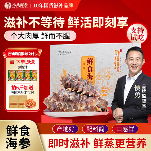 小兵海参官方旗舰店鲜食即食海参