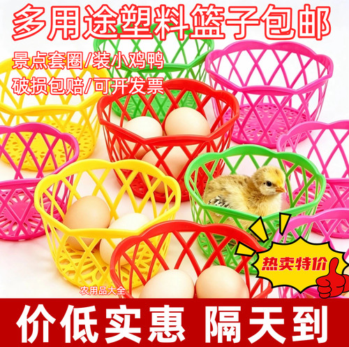 户外摆摊装小鸡小鸭乌龟仓鼠专用塑料网篮