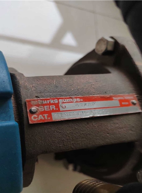 【顺庆】美国Burks Pump博克斯离心泵 自吸泵，拆机品，两台，【