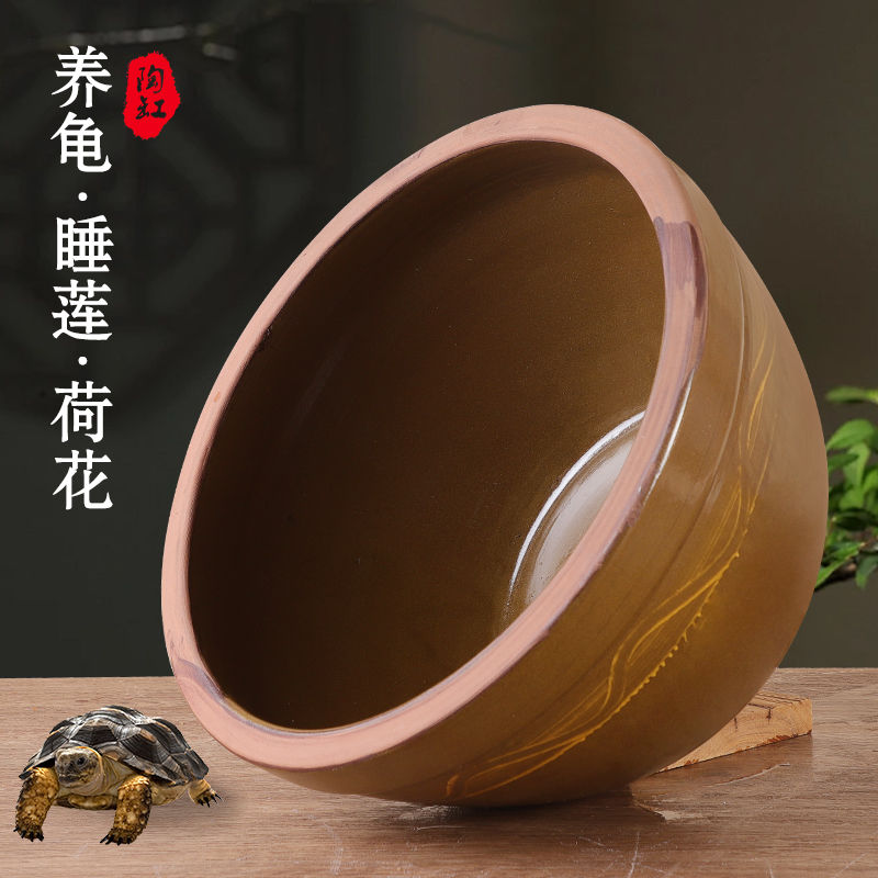 陶瓷乌龟饲养缸老式家用养鱼专用盆荷花睡莲盆缸大水缸用甲鱼缸