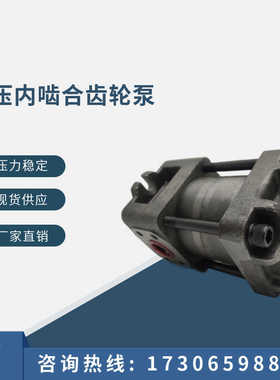 上海航发NBZ4-G40F50FG63FNBZ5-G80G100G125高压油泵内啮合齿轮泵