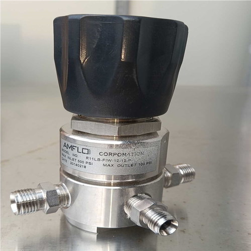 (议价)amflo r11lb-fiw-12-12-p减压敦阳