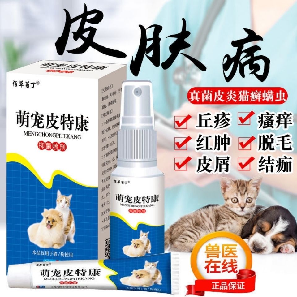 绷带