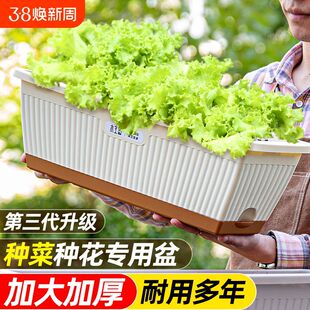 花沐鱼阳台种菜盆长方形塑料花盆家用长条懒人专用盆特大号种植箱