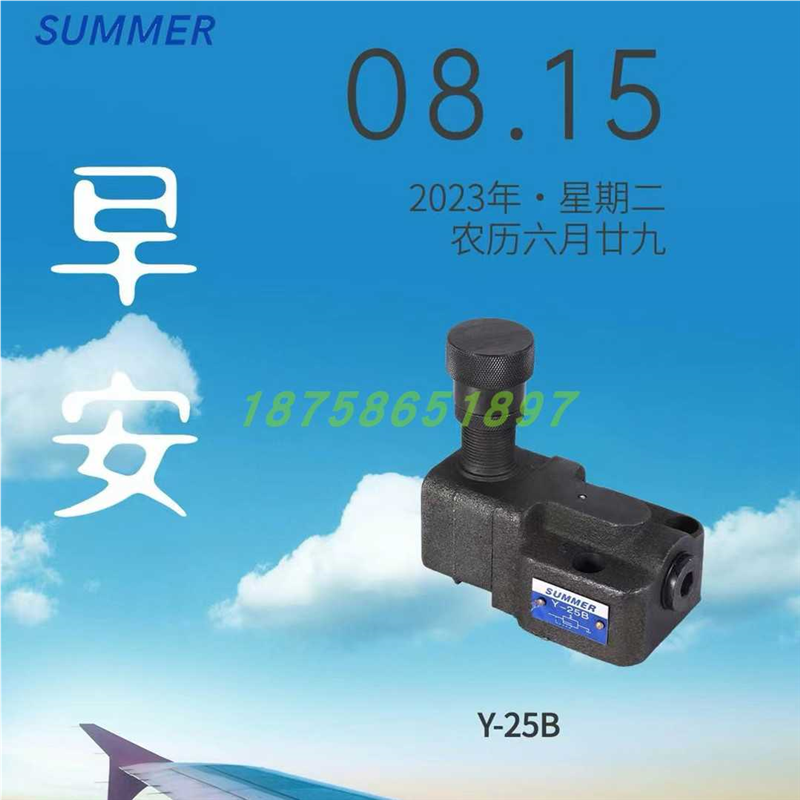 SUMMER溢流阀 Y-25B Y2-Hb10B 液压阀 Y2-HB20B 液压电磁阀