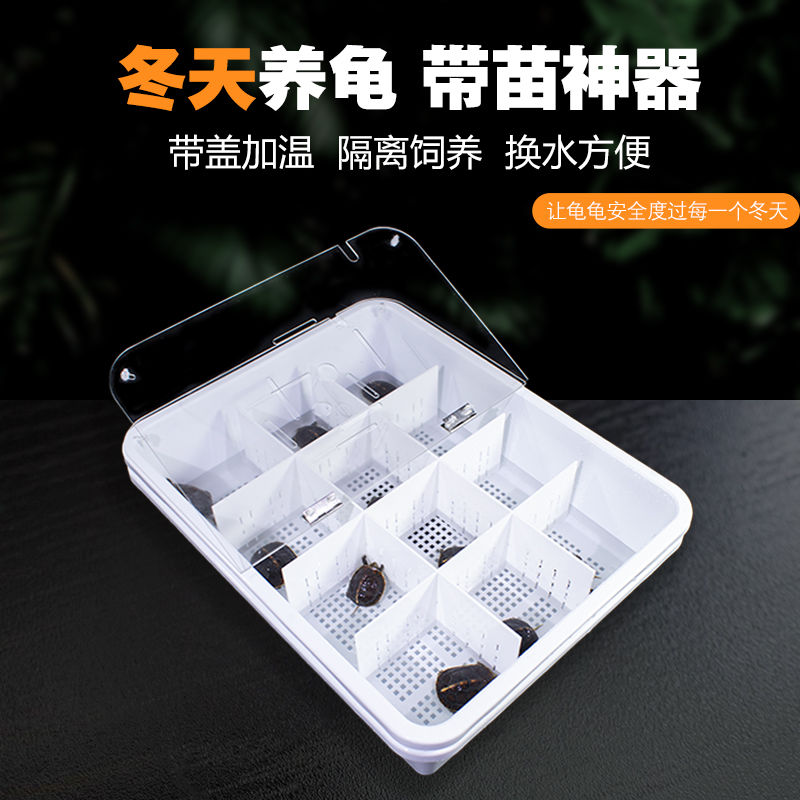 乌龟饲养缸加温棒过冬育苗盆带盖粪便分离发色隔离盒懒人网红龟盆