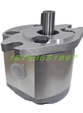 齿轮泵P101/P102/P104/P105/P106/P107/P109/P127/P135RP01GT油泵