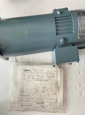 BR 60M3017 inagnetic伺服电机议价