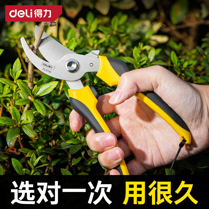 得力修枝剪专用剪刀果树园林园艺剪修粗大剪树枝工具花卉花艺剪子